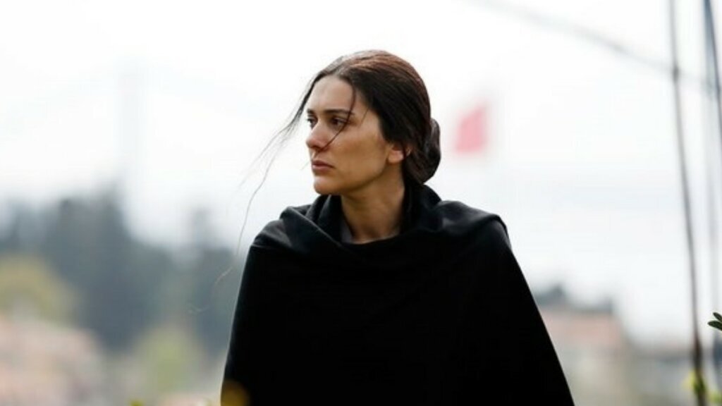 Ajoyib video kompilyatsiya etuk Liza Enn uning mushuk va yana jinsiy aloqada bolgan! Fohisha!